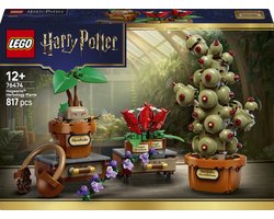 LEGO Harry Potter Zweinstein Kruidenkunde Planten Bouwbaar Speelgoed voor Kinderen 76474 — cadeau in Spellen & Speelgoed