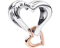 Familie Bedelhanger 925 Sterling Zilver - Dierenthema Bedel voor Pandora Stijl Armbanden — cadeau in Sieraden