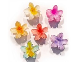Multicolor bloem haar clip set – 6 stuks – dames – transparante kunststof bloem vorm haar clip – kleurrijke haar accessoires — cadeau in Mode & Accessoires