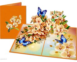 Popcards.nl pop-up kaart - Schitterende Roze Orchidee Bloemen met Blauwe Vlinders Orchideeën Wenskaart 3D kaart — cadeau in Cadeau-ideeën