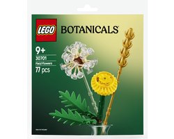 LEGO Botanicals 30701 - Veldbloemen (polybag) — cadeau in Spellen & Speelgoed