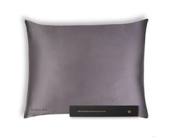 Lune & Eve® Premium Zijden Kussensloop – 23 Momme 6A Mulberry Silk – Hypoallergeen & Antibacterieel – Beauty Pillow voor Huid & Haar – Antraciet – 60 x 70 cm — cadeau in Wonen & Interieur