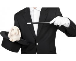 Carnaval verkleed toverstokje/toverstaf - zwart - kunststof - 33 cm - Tovenaar/Goochelaar artikelen — cadeau in Spellen & Speelgoed