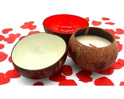 Cocohana Cadeauset – 2 Kokosnootkommen & 1 Geurkaars Coconut Lime – Handgemaakt & Duurzaam – Perfect Kerstcadeau, Secret Santa & Cadeau voor de Feestdagen — cadeau in Wonen & Interieur
