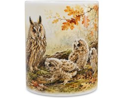 Koffiemok met Ransuil en Jongen - Aquarel Natuur Illustratie Asio otus - Grote Keramische Mok voor Koffie en Thee - Cadeau voor Dierliefhebber en Natuurliefhebbers — cadeau in Cadeau-ideeën