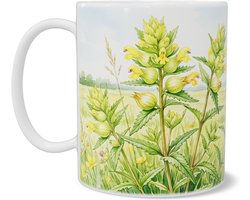 Mok Aquarel Series bloemenweide met gele kleine ratelaar Rhinanthus minor in landschap illustratie natuurliefhebber botanisch cadeau voor kantoor thuiswerkplek of keuken sfeervol Hollands landelijk en rustgevend bloemenontwerp — cadeau in Koken & Dineren
