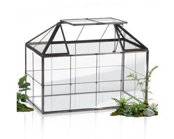 Dailygoods- Broeikas Mini - Vensterbank - 23,3 x 13,6 x 18 cm - Glas - Terrarium - Voor Vetplanten/Cactussen - Creatief Project — cadeau in Wonen & Interieur