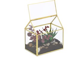 Glazen Planten Terrarium met Koperlook - Mini Kweekkas voor Cactussen, Mos en Kleine Planten - Decoratieve Plantenhouder voor Vensterbank, Bureau en Interieur - Compacte Indoor Kas - 15 x 15 x 10 cm - Goud — cadeau in Wonen & Interieur