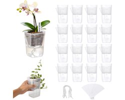 16 stuks - Zelfbewateringspotten set - zelfwaterende plantenbak - kamerplant pot - met drainagegaten en vochtigheidsindicator - transparant - 3,8 cm x 8 cm - voorkomt wortelrot - ideaal voor zaailingen, stekjes, vetplanten — cadeau in Cadeau-ideeën