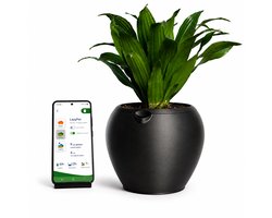 LazyPot Zwart – Zelfwatergevende Plantenpot met App – Ø 11 x 10 cm – 1L Waterreservoir – Slimme Bloempot – Oplaadbaar – Mat Zwart — cadeau in Gadgets