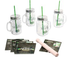 Secret de Gourmet Luxe Mojito glazen set - 4x stuks - met accessoires - 500 ml - Cocktailglazen — cadeau in Kookcadeaus