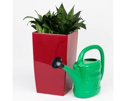 Gieter in kunststof groen - 3 L — cadeau in Cadeau-ideeën