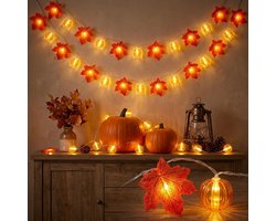 3m Herfst Lichtslinger met 20 LED Esdoornbladeren - Sfeervolle Buiten- & Binnenverlichting - Voor Tuin, Terras, Raam & Herfstdecoratie - Warme Gloed - Batterijgevoed - Eenvoudig te Hangenaan - Creëer een Gezellige Herfstsfeer — cadeau in Wonen & Interieur