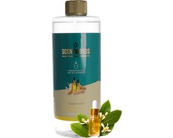 Scentmoods Musk & Hout Geurolie - Geurolie Voor Oliebrander - Etherische Olie - Essentiele Olie - Etherische Olien - 750ml — cadeau in Cadeau-ideeën