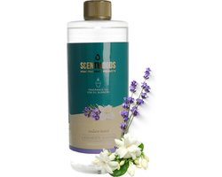 Scentmoods Lavendel & Jasmijn Geurolie - Geurolie Voor Oliebrander - Etherische Olie - Essentiele Olie - Etherische Olien - 750ml — cadeau in Cadeau-ideeën