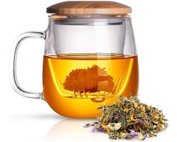 Dubbelwandige glazen theekop met roestvrijstalen zeef - 420ml - Theebeker van borosilicaatglas voor losse thee - Bloementhee - Theezakjes - Kerstgeschenk — cadeau in Kookcadeaus