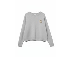 Grijze Trui Teddy Bear - Trendy Zachte Truien - Fashion Dames Sweaters - Beertjes Print - One size - Grijs — cadeau in Mode & Accessoires