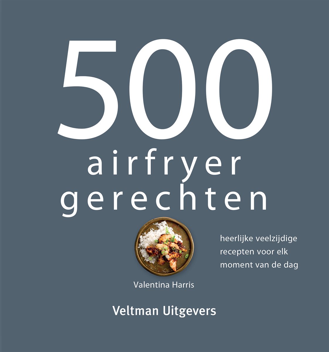 500 airfryer gerechten