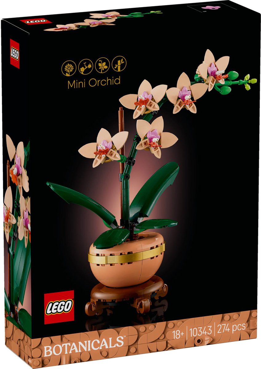 Botanicals Mini orchidee - 10343