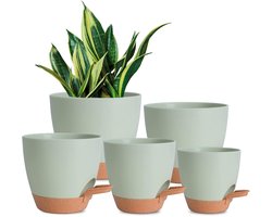 Bloempotten voor binnen, 7/6,5/6/5,5/5 inch, zelfwaterende plantenbakken met drainagegat, plastic bloempotten voor vetplanten, Afrikaans viooltje (groen) — cadeau in Wonen & Interieur
