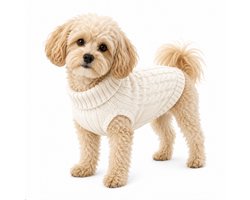 Honden Trui Gebreid Ecru - Maat L– Warme Puppy & Kleine Hond Trui – Zachte Kabel Knit Sweater voor Herfst & Winter – Ecru — cadeau in Cadeau-ideeën