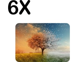 Luxe Placemat - Boom in Alle Seizoenen - Lente - Zomer - Herfst - Winter - Set van 6 Placemats - 40x30 cm - 2 mm dik Vinyl - Anti Slip - Afneembaar — cadeau in Wonen & Interieur