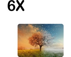 Luxe Placemat - Boom in Alle Seizoenen - Lente - Zomer - Herfst - Winter - Set van 6 Placemats - 35x25 cm - 2 mm dik Vinyl - Anti Slip - Afneembaar — cadeau in Wonen & Interieur