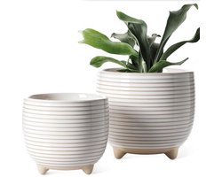 Keramische Bloempotten op Poten Set van 2, 12,5 en 16 cm, met Afwateringsgat, voor Tafel, Plank en Thuis Kantoor — cadeau in Wonen & Interieur