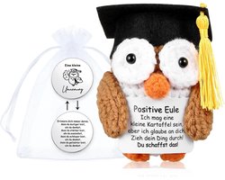 Uil pop en kleine omarming geluksbrenger je creatiefst cadeau creatieve breiwol uil pop examen geluksbrenger Pocket Hug Mutmaker opvrolijken goed beter cadeau — cadeau in Cadeau-ideeën