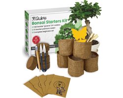 Qubis Bonsai Starters Kit - 23 Delige Kweekset - 5 Soorten Premium Zaden - DIY Pakket - Binnen Bonsai Boompje Kweken -  Incl. Rouwvliegjes Vanger — cadeau in Eten & Drinken