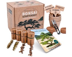Bonsai Starters Kit met Uitgebreide Instructies – Bonsai Zaden Kit – Binnen Boompje Kweken – Kamerplanten – Kweekset Cadeau - Geschenkset — cadeau in Tuin & Klussen