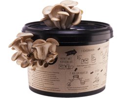 Oesterzwam Growkit – Zelf Paddenstoelen Kweken op Koffiedik – Herstartbaar & Duurzaam Cadeau – Gerecycled Plastic – Sociaal geproduceerd in Nederland – Fryslân Fungies - Aanrecht moestuin - Van Koffie naar Paddenstoel — cadeau in Tuin & Klussen