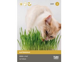 Kattengras Zaden – Kattegras om Zelf te Kweken – Gezond Gras voor Katten – 15 Gram - Tuin de Bruijn® zaden — cadeau in Tuin & Klussen
