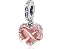 925 Sterling zilveren bedeltje past op Pandora Armbanden Ketting, Hangers DIY Sieraden Gift Voor Vrouwen (met een Spacer Bead Charms) — cadeau in Sieraden