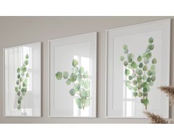 Unyqoos® Set van drie botanische posters met eucalyptusmotief voor interieurdecoratie, groente — cadeau in Wonen & Interieur