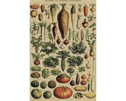 Fotowand Vintage Groenten & Fruit - Botanisch - Poster Set van 2 - 70x50 cm - Schoolplaat - Plant & Tuin — cadeau in Wonen & Interieur