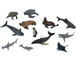COLLECTA Figurine Mini Set - 12 Zeedieren - Zeedieren - Handgeschilderd - Miniatuur — cadeau in Spellen & Speelgoed