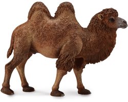 COLLECTA Figurine - Kameel - (L) - Wilde Dieren - Handgeschilderd - Miniatuur — cadeau in Spellen & Speelgoed