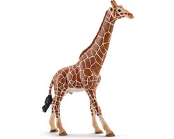 schleich WILD LIFE - Mannetjesgiraf - Speelfiguur - Kinderspeelgoed voor Jongens en Meisjes - 3 tot 8 jaar - 14749 — cadeau in Spellen & Speelgoed