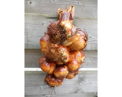 Gerookte knoflook streng - 500g uit Frankrijk - Lange houdbaarheid — cadeau in Cadeau-ideeën